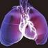 Erişkin Pulmoner Hipertansiyonun Nadir Bir Sebebi Olarak İzole Pulmoner Venöz Dönüş Anomalisi