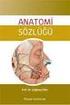 Anatomi ve Kinesiyoloji. Tanımlar ve Terminoloji