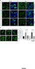 Kit Components. MultiTox-Fluor Multiplex Cytotoxicity Assay