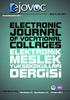 Electronic Journal Of Vocational Colleges