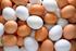 Yumurta allerjisi olan olgularımızın klinik ve laboratuvar özelliklerinin değerlendirilmesi