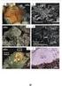 Relations of observed mineral assembleges to the evolution of borate deposits in Western Anatolia