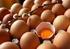 Yumurta Üreticiler Merkez Birliği (YUM-BİR)