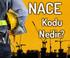 NACE Kodu NACE Tanımı Tehlike Sınıfı