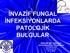 İNVAZİF FUNGAL İNFEKSİYONLARDA PATOLOJİK BULGULAR DOÇ.DR.NİL ÇULHACI ADNAN MENDERES ÜNİVERSİTESİ TIP FAKÜLTESİ PATOLOJİ AD