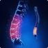 Lomber Spinal Stenozun Cerrahi Tedavisinde Unilateral Yaklafl mla Bilateral Dekompresyon