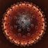 Gebelerde hepatit B seropozitifli i ve Türk literatürüne bir bak fl