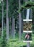 Aynı Yaşlı ve Saf Doğu Ladini (Picea orientalis (L.) Link.) Meşcerelerinde Çap Dağılımının Bonitet ve Yaş Sınıfları İçin Değerlendirilmesi