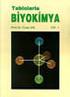 Nükleik Asitler. Prof. Dr. Arif ALTINTAŞ Ankara Üniversitesi Veteriner Fakültesi-Biyokimya Anabilim Dalı