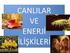 5. ÜNİTE CANLILAR VE ENERJİ İLİŞKİLERİ. Besin Zinciri. Besin Ağı BESİN ZİNCİRİ VE ENERJİ AKIŞI