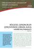 BÖLGESEL GERGINLIKLER ÇERÇEVESINDE LÜBNAN: AUN & HARIRI MUTABAKATI ORSAM BÖLGESEL GELİŞMELER DEĞERLENDİRMESİ. No.60, ŞUBAT 2017