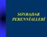 SONBAHAR PERENNİALLERİ