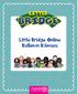 Little Bridge Online Kullanım Kılavuzu