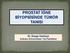 PROSTAT İĞNE BİYOPSİSİNDE TÜMÖR TANISI. Dr. Duygu Kankaya Ankara Üniversitesi Tıp Fakültesi
