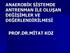 ANAEROBİK SİSTEMDE ANTRENMAN İLE OLUŞAN DEĞİŞİMLER VE DEĞERLENDİRİLMESİ PROF.DR.MİTAT KOZ