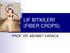 LİF BİTKİLERİ (FIBER CROPS) PROF. DR. MEHMET KARACA