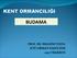 KENT ORMANCILIĞI PROF. DR. İBRAHİM TURNA KTÜ ORMAN FAKÜLTESİ 2017 TRABZON