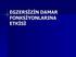 EGZERSİZİN DAMAR FONKSİYONLARINA ETKİSİ