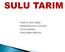 Bitkilerin normal gelişme, büyüme ve olgunlaşmalarına doğal yağışların yeterli olmadığı kurak alanlarda, sulama yapılarak yürütülen tarıma sulu tarım