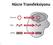 Hücre Transfeksiyonu