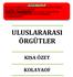 ULUSLARARASI ÖRGÜTLER