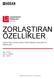 ZORLAŞTIRAN ÖZELLİKLER