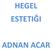 HEGEL ESTETIĞI ADNAN ACAR