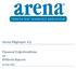 Arena Bilgisayar A.Ş. Finansal Değerlendirme ve Beklenti Raporu. (31 Mart 2009)