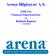 Arena Bilgisayar A.Ş Yılı Finansal Değerlendirme ve Beklenti Raporu ( )