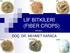 LİF BİTKİLERİ (FIBER CROPS)