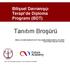 Bilişsel Davranışçı Terapi de Diploma Programı (BDT) Tanıtım Broşürü