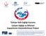 Türkiye Halk Sağlığı Kurumu Çalışan Sağlığı ve Bilimsel Kapasitenin Güçlendirilmesi Projesi