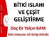 BİTKİ ISLAHI VE ÇEŞİT GELİŞTİRME