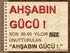 AHŞABIN GÜCÜ! AHŞABIN GÜCÜ!. SON YILDIR BİZE UNUTTURULAN. Y.Mim.Çelik ERENGEZGİN