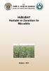 T.C. TARIM VE KÖYİŞLERİ BAKANLIĞI Koruma ve Kontrol Genel Müdürlüğü. HUBUBAT Hastalık ve Zararlıları ile Mücadele