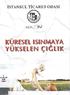 . GİRİŞ. Ancak, söz konusu sorunların bugün birdenbire ortaya çıkmadığını hepimiz biliyoruz. Bunları meydana getiren süreçlerin tarihsel bir