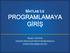 MATLAB İLE PROGRAMLAMAYA GİRİŞ. Nedim TUTKUN Elektrik Elektronik Mühendisliği Bölümü