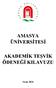 AMASYA ÜNİVERSİTESİ AKADEMİK TEŞVİK ÖDENEĞİ KILAVUZU