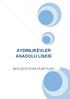 AYDINLIKEVLER ANADOLU LİSESİ