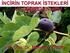 İNCİRİN TOPRAK İSTEKLERİ VE GÜBRELENMESİ. Yrd. Doç. Dr. Mehmet ZENGİN