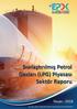Nisan / Sıvılaştırılmış Petrol Gazları (LPG) Piyasası Sektör Raporu