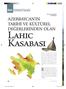 Lahıc Kasabası. Kendilerini tat adlandıran kasaba AZERBAYCAN IN TARİHİ VE KÜLTÜREL DEĞERLERİNDEN OLAN. Geleneksel Sanatlar