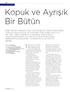 Kopuk ve Ayrışık Bir Bütün