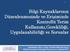 Bilgi Kaynaklarının Düzenlenmesinde ve Erişiminde Kontrollü Terim Kullanımı,Gerekliliği, Uygulanabilirliği ve Sorunlar