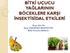 BİTKİ UÇUCU YAĞLARININ BÖCEKLERE KARŞI İNSEKTİSİDAL ETKİLERİ. Araş. Gör. Dr. Ayşe USANMAZ BOZHÜYÜK Bitki Koruma Bölümü