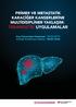 PRİMER VE METASTATİK KARACİĞER KANSERLERİNE MULTİDİSİPLİNER YAKLAŞIM: TERANOSTİK UYGULAMALAR