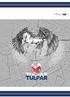 Hakkımızda Biz Kimiz? Neden Tulpar. About Us Who are we? Why Tulpar. Tulpar Nedir. What is Tulpar?