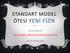 STANDART MODEL ÖTESİ YENİ FİZİK