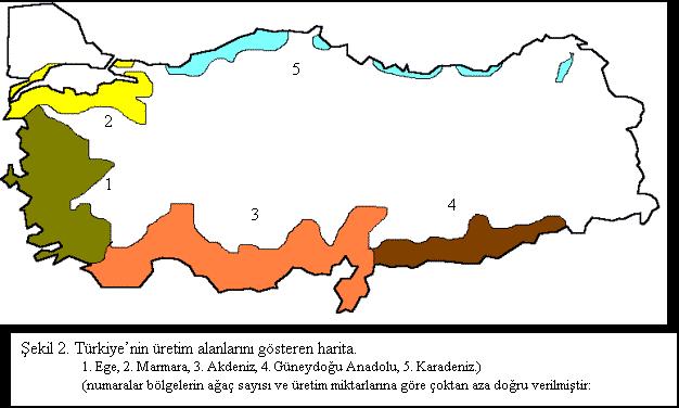 22 TÜRKİYE TÜRKİYE DE 5 BÖLGEDE