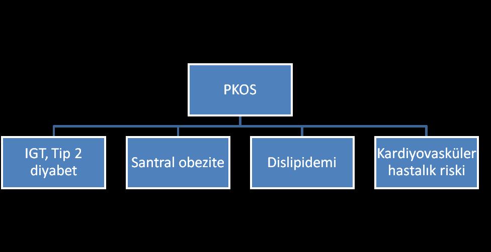 PKOS da etyoloji kesin olarak bilinmemekle birlikte sendrom genetik ve çevresel faktörlerin etkileşimiyle ortaya çıkmış sık görülen ve kompleks bir problem olarak